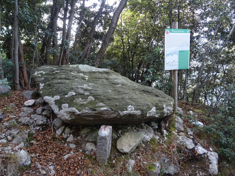 Masso erratico - Malcesine (VR)